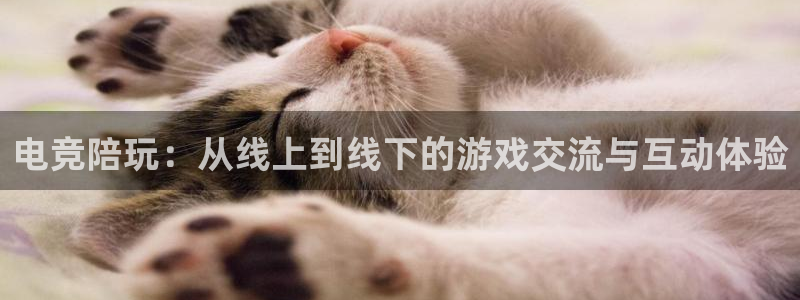 k1电竞：电竞陪玩：从线上到线下的游戏交流与互动体验