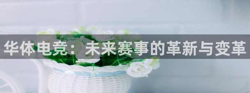 k1电竞：华体电竞：未来赛事的革新与变革