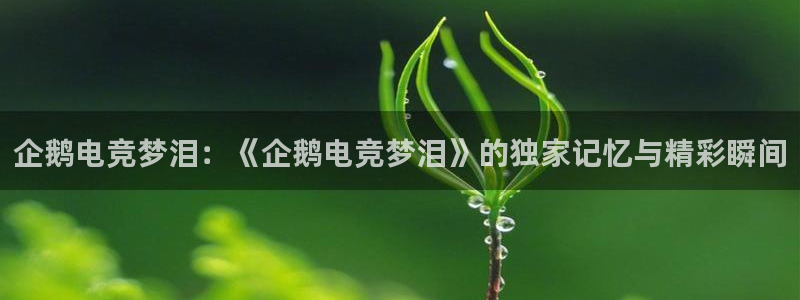 k1电竞：企鹅电竞梦泪：《企鹅电竞梦泪》的独家记忆与精彩瞬间