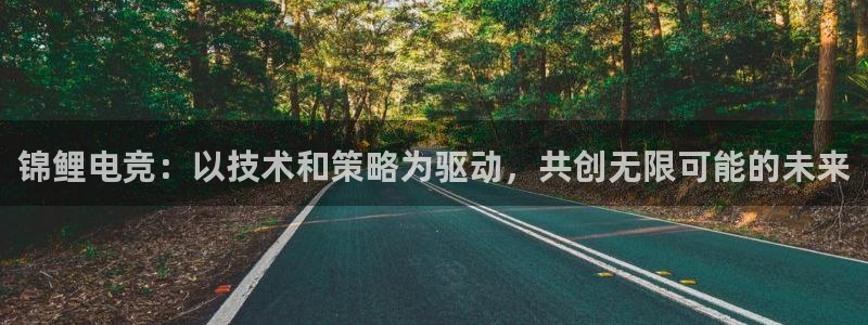 k1电竞比赛：锦鲤电竞：以技术和策略为驱动，共创无限可能的未来